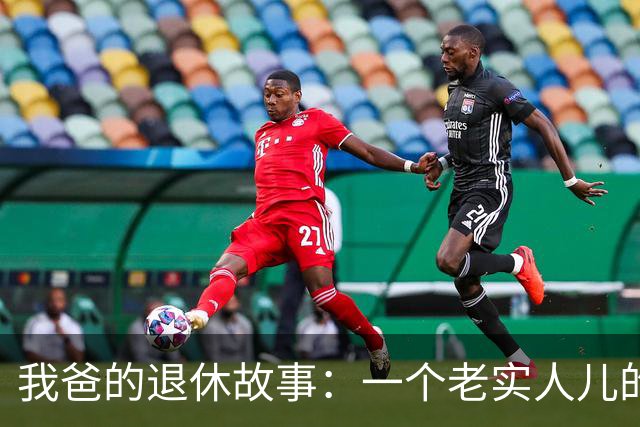 我爸的退休故事：一个老实人儿的惊悚谍战